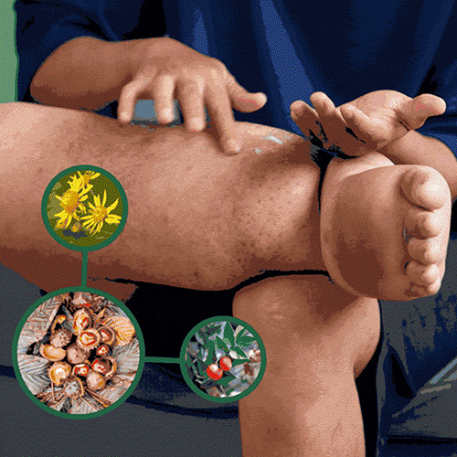 Leg Firming Lotion